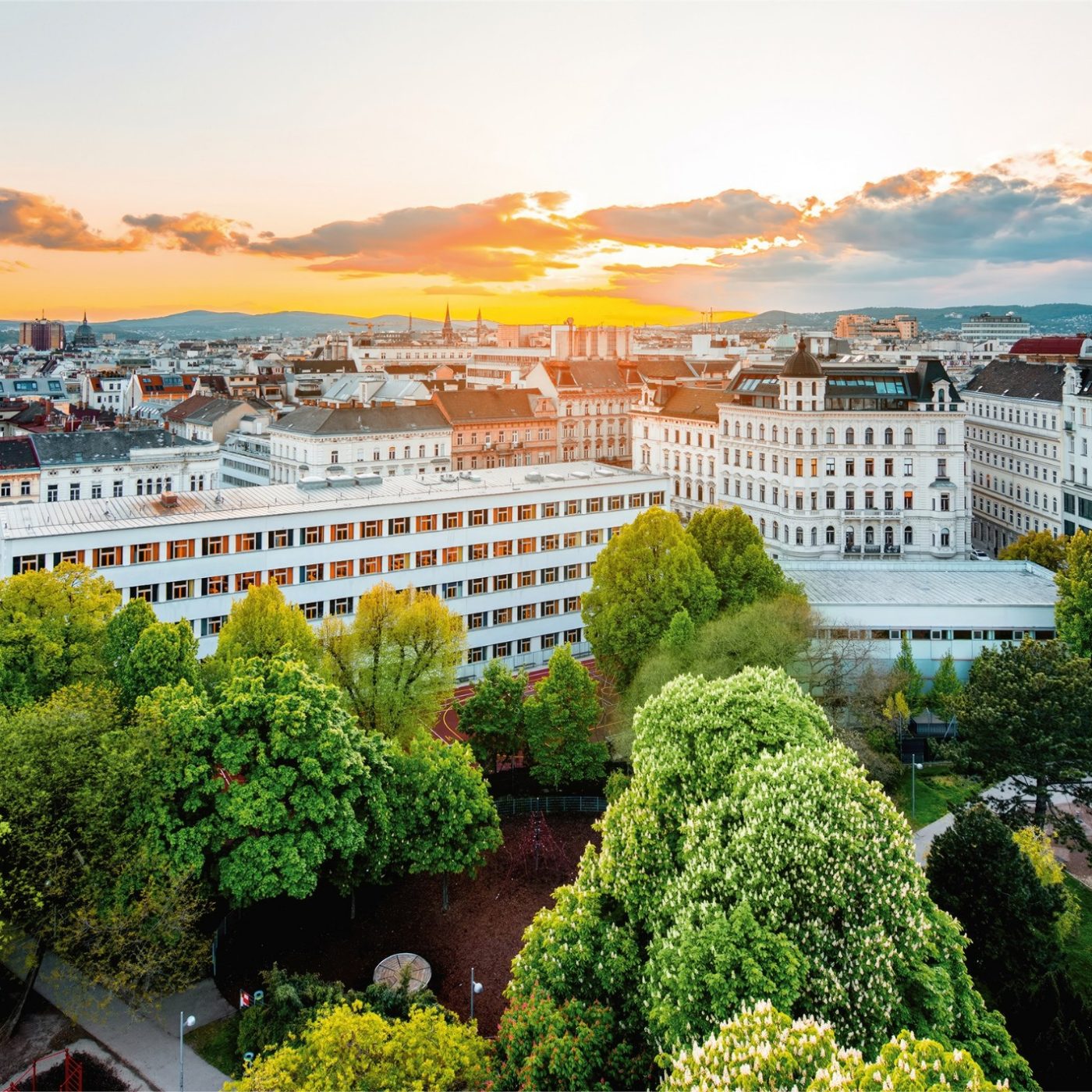 Sonnenaufgang über Wien