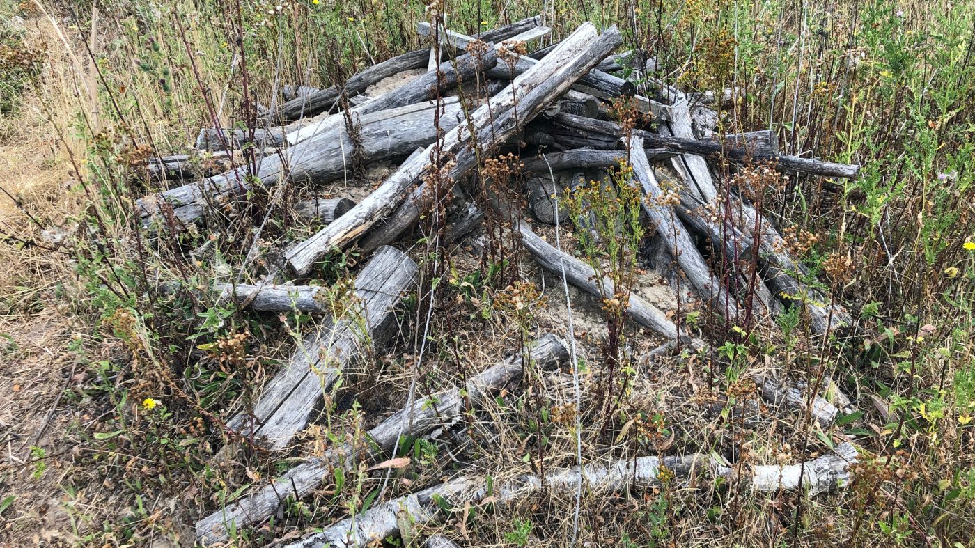 Geschützter Raum: Holzstapel wie diese bieten Unterschlupf für Molche und Igel.