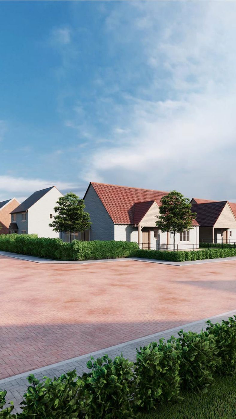 gepflasterte Straße, Siedlung, Hecken