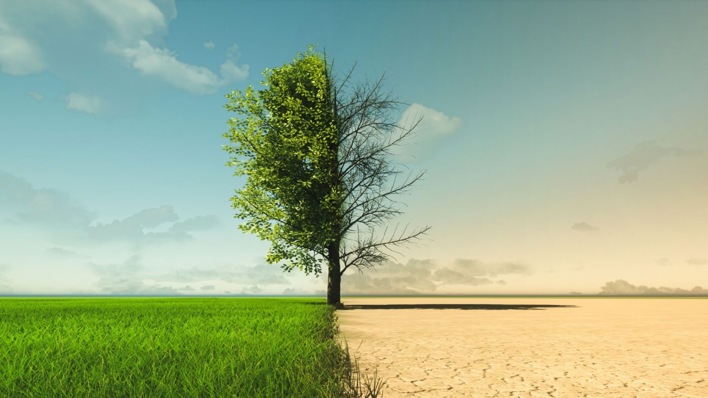 Symbolbild einer zweigeteilten Landschaft – links blühend, rechts ausgetrocknet: Der Klimawandel sorgt vielerorts für Dürre.