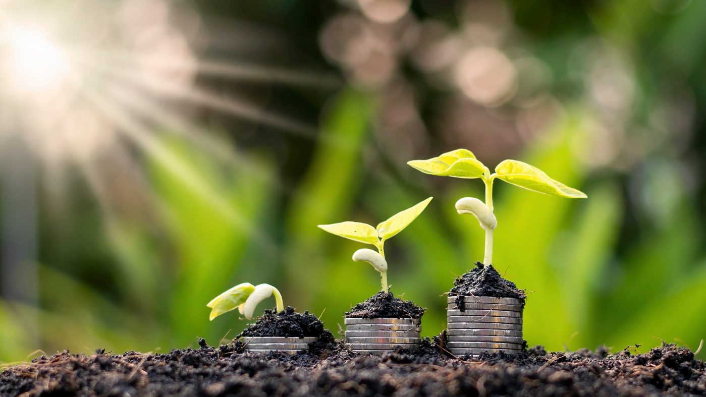 Pflanzen wachsen auf Münzen