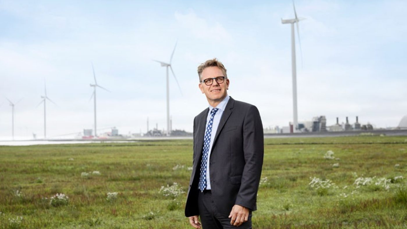 Man standing on meadow in front of wind farm, wind mills