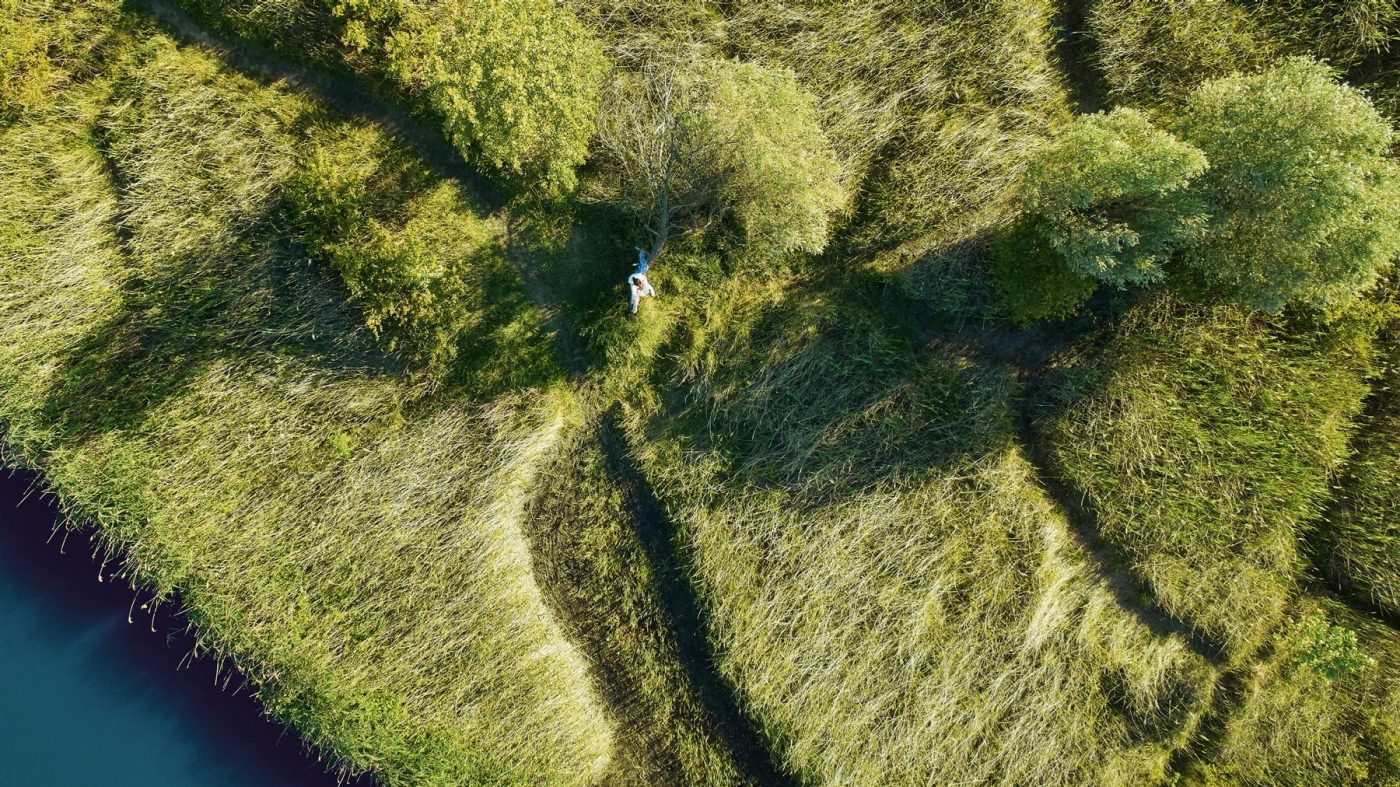Gras, water, trees, girl, bird's-eye view
