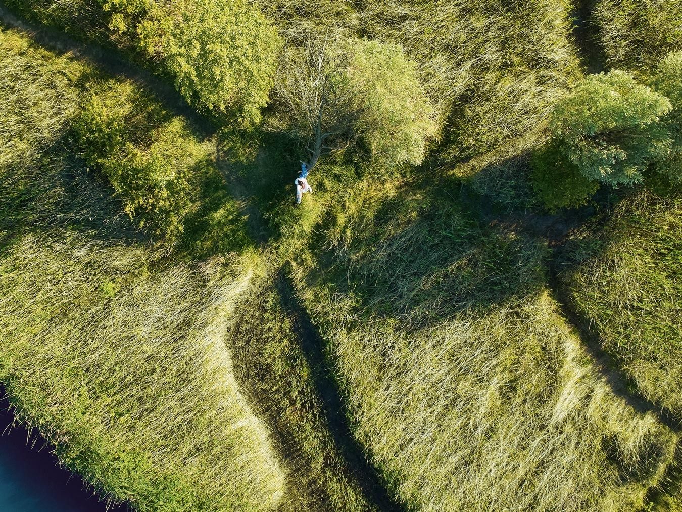 Meadow, Trees, Green, Girl, water