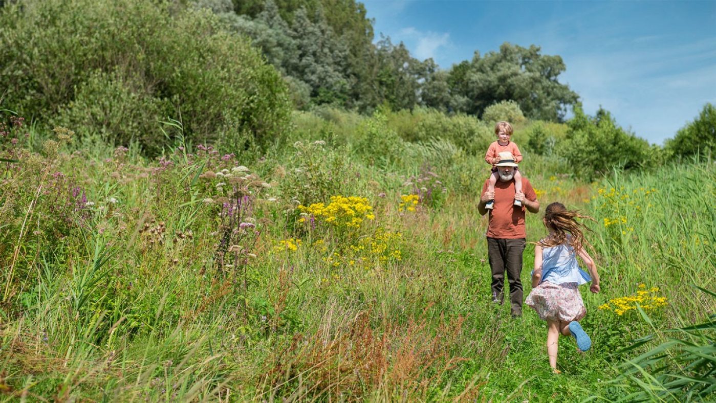 Ein Mann mit zwei Kindern auf einer grünen Wiese