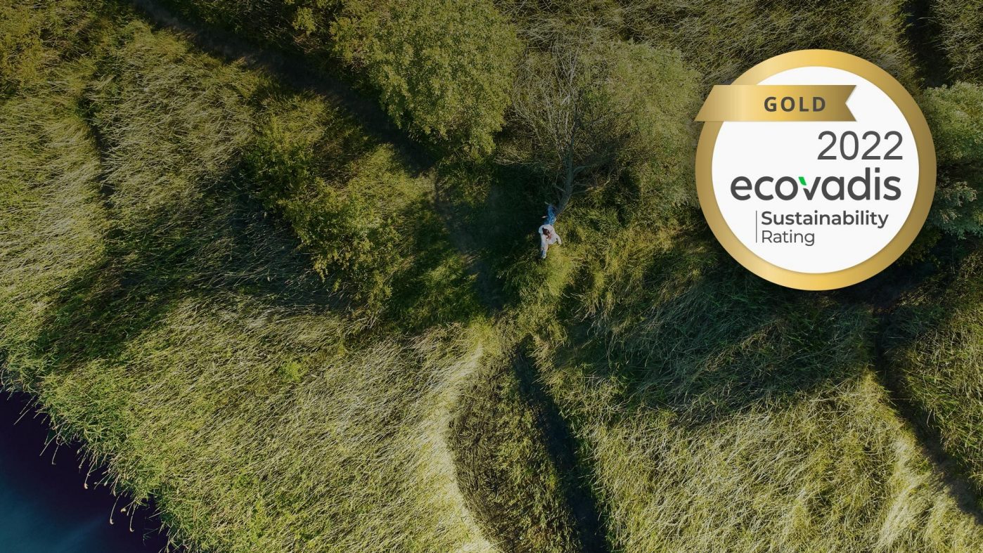 Bird's eye view, meadow, girl, ecovadis, gold