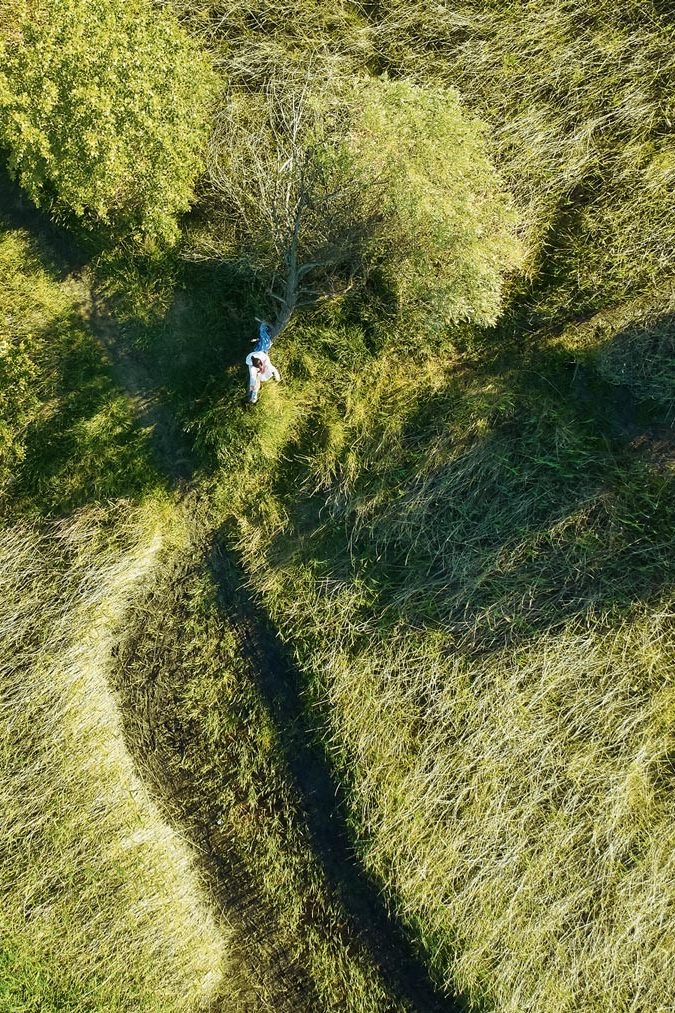 Gras, water, trees, girl