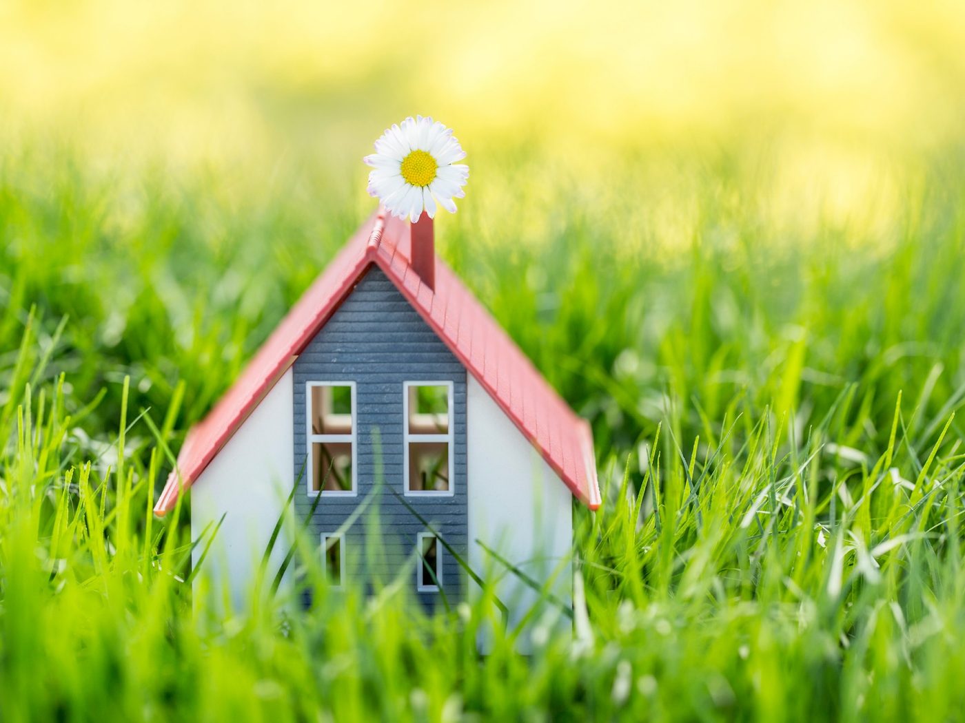small playhouse in the grass