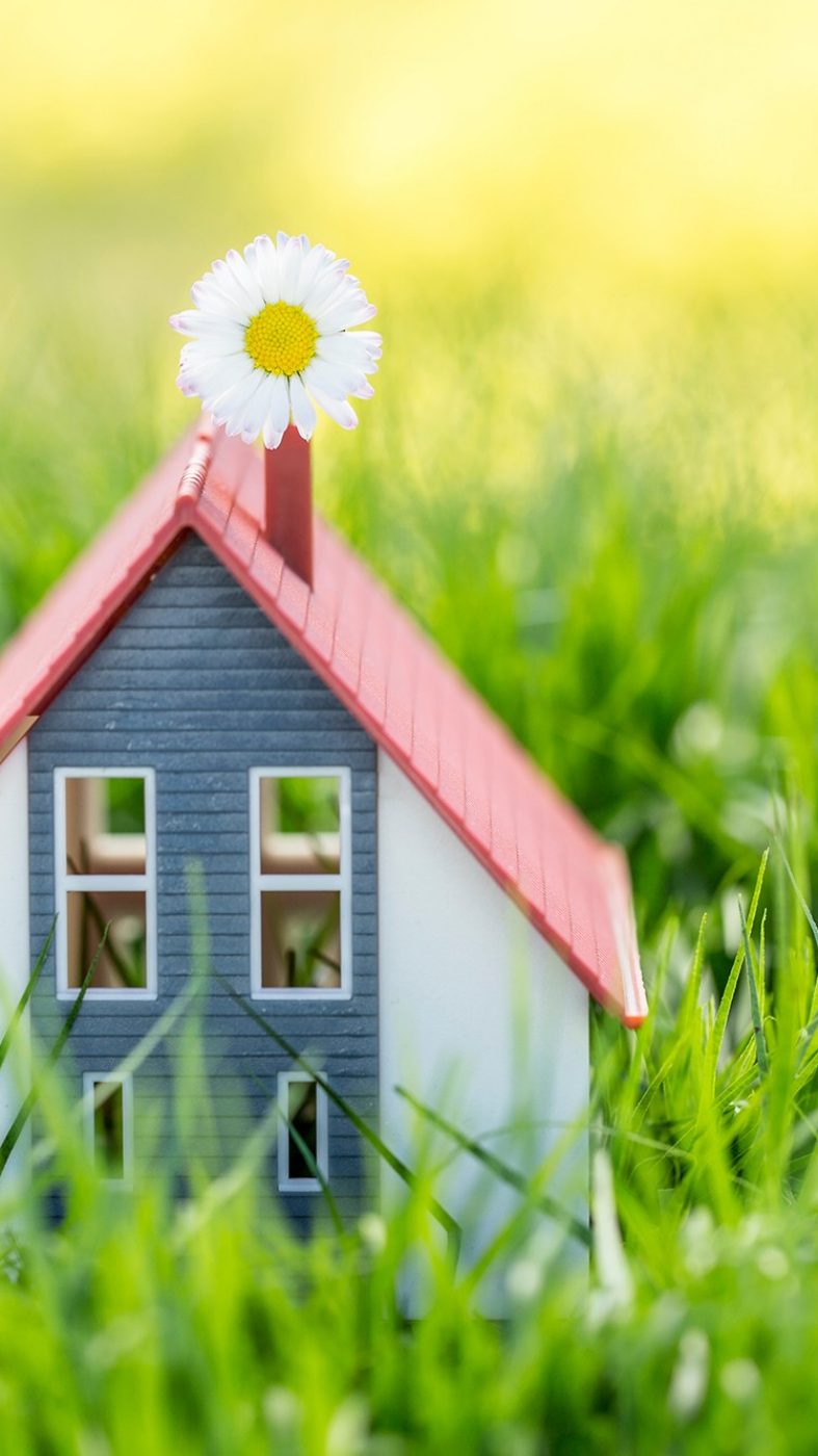 small playhouse in the grass