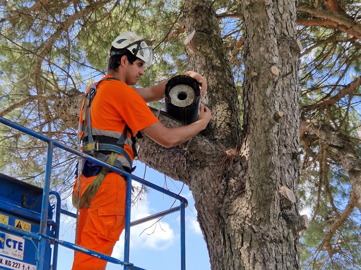 Michele Battelani on a hydraulic lift: The biodiversity ambassador from Italy helping to set up nesting boxes. 