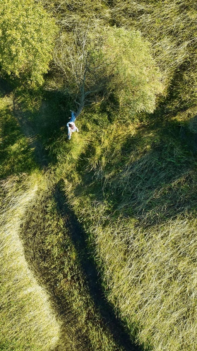 Meadow, Trees, Green, Girl, water