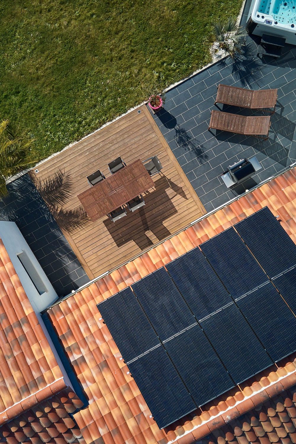 bird on a roof