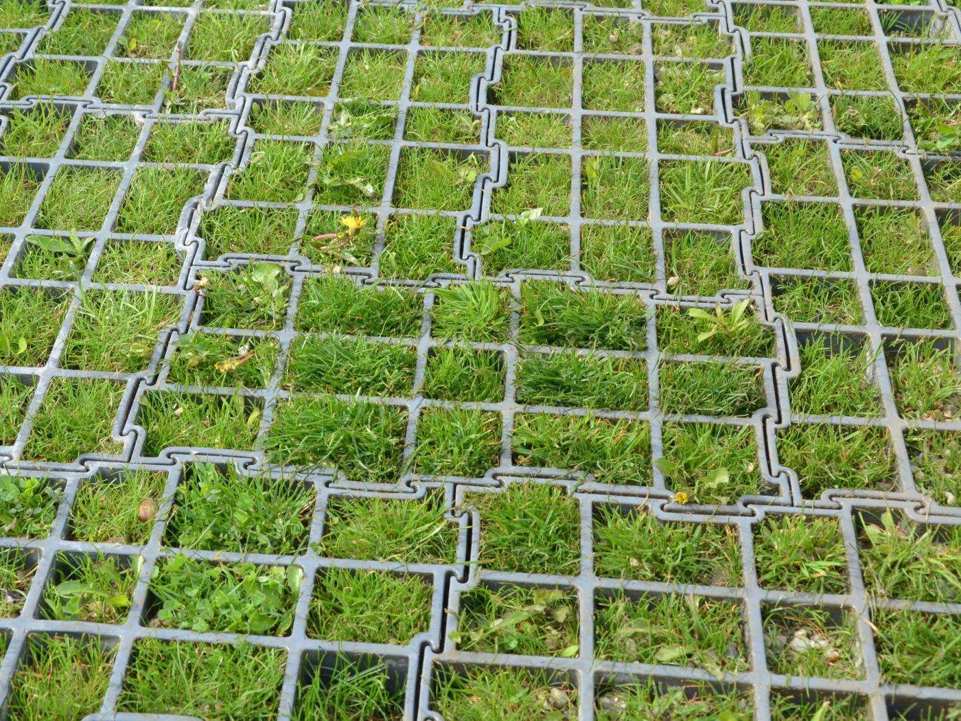 Permeable paving blocks with greenery