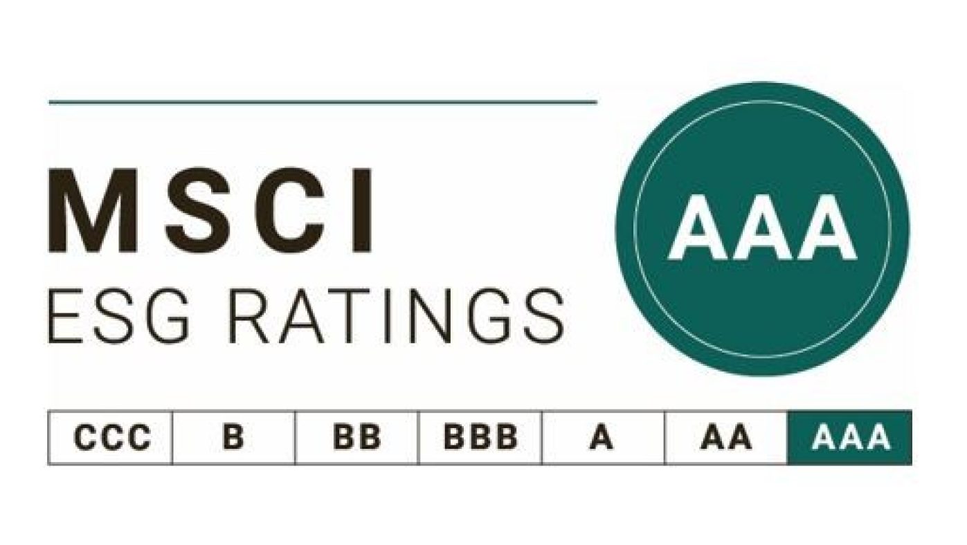 MSCI 2020